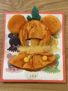 ディズニーストア シークレット ポンチョ GLOSSY FRUITS