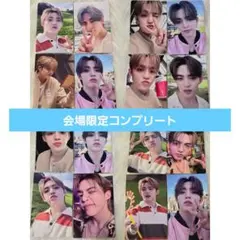 SEVENTEEN セブチ 会場限定 コンプ エスクプス