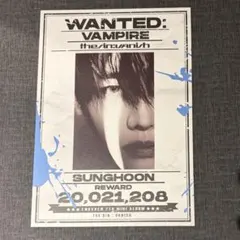 enhypen 韓国　popup 特典　ソンフン