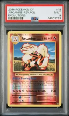 ポケットモンスター アドバンスジェネレーション 伝説のポケモン