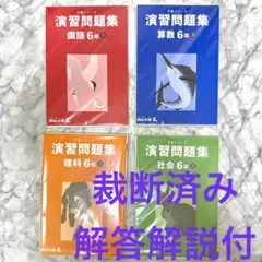 2026年最新】四谷大塚 予習シリーズ 裁断済の人気アイテム - メルカリ