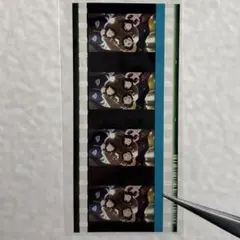 ヒプマイ ヒプムビ 特典 コマフィルム BusterBros!!!