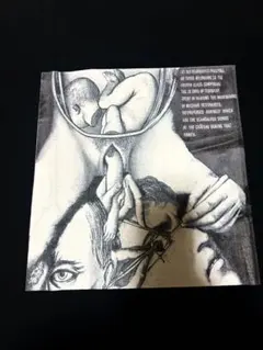 レア！NWW & WHITEHOUSE Tシャツ　新品