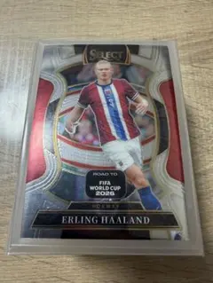 Erling Haaland #9 Terrace Panini Select