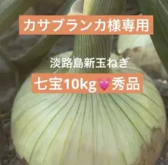 カサブランカ様★淡路島新玉ねぎ★七宝★秀品★10Kg★甘い★リピーター多数