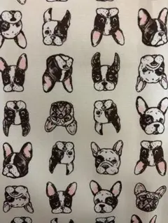フレンチブルドッグ 犬柄 生地 フレブル