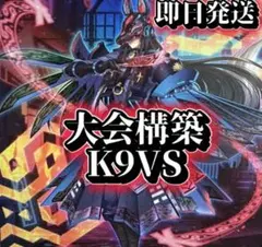 K9VS デッキ 新規入り『VSK9』についてのあれこれ｜円盤ムスキー@YP
