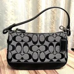 ✨美品✨COACH コーチ アクセサリーポーチ シグネチャー キャンバス 本革