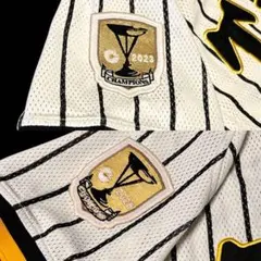 刺繍アイロンワッペン 阪神タイガース 応援歌 大山 選手 ゴールド なー