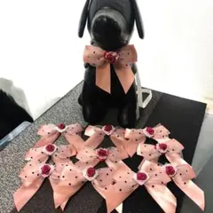 Item thumbnail for item 44561339-9e81-40f4-b641-e096fa708ab6