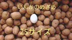 t.r.n!様専用出品❗