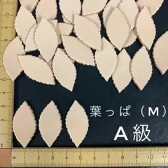 ASAHI.様 リクエスト 2点 まとめ商品