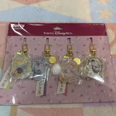 ウィッシングウィングスキーチェーン