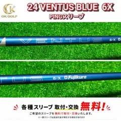 2026年最新】ベンタスブルー 6x ピンの人気アイテム - メルカリ