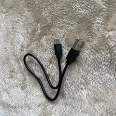 USB Type-A/Type-C ブラックケーブル
