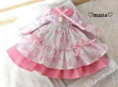 ネオブライス アウトフィット ぬいぐるみ