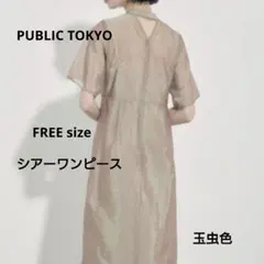 PUBLIC TOKYO シアーワンピース キャミドレスセット 玉虫色 ロングのサムネイル