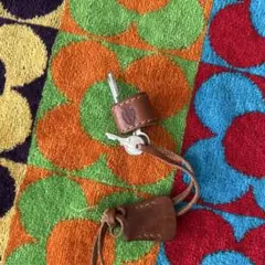 Item thumbnail for item 7d41bd1f-5a0d-473e-bbc5-f5a0b59c1df2