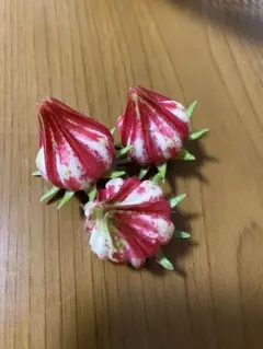 いちご姫様 リクエスト 2点 まとめ商品