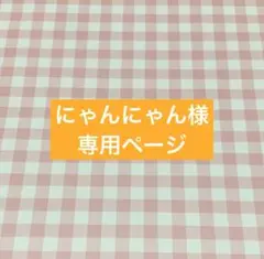 ✧︎*。にゃんにゃん様 専用ページ✧︎*。