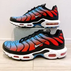 【27.5cm】NIKE WMNS AIR MAX PLUS
