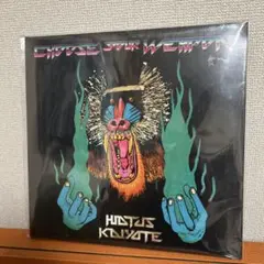 2026年最新】hiatus kaiyote レコードの人気アイテム - メルカリ