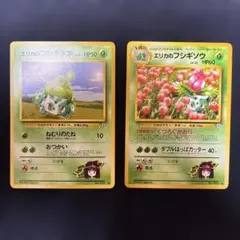 エリカのフシギダネ フシギソウ ◆ ジム拡張第2弾 闇からの挑戦