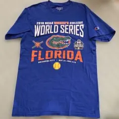 チャンピオン　US古着　Tシャツ　NCAA 女子野球　フロリダ大学　サイズS