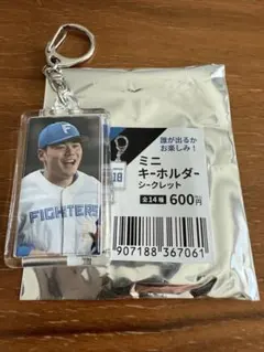 清宮幸太郎 記念グッズ