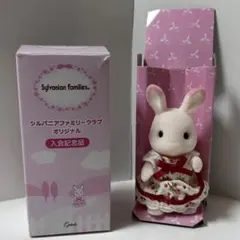 2025年最新】シルバニアももいろウサギの人気アイテム - メルカリ