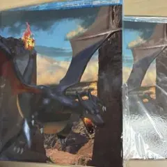 ポケモンカード コレクションファイル 色違いのリザードン 2冊セット