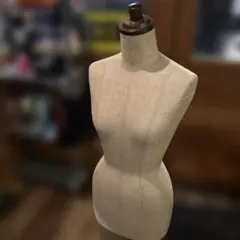 여성 토르소