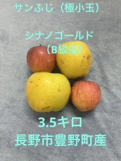 サンふじ　シャキシャキ　極小玉　傷あり。 シナノゴールド　傷や色むらあり