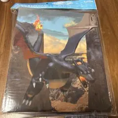 色違いのリザードン　コレクションファイル