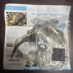 NTC 日本の清流 カジカ