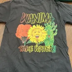 WANIMAtシャツ