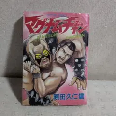 マイティハーキュリー フォノブック レコード - メルカリ