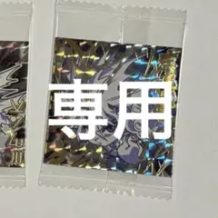 ジョン⭐︎プロフ必様　専用