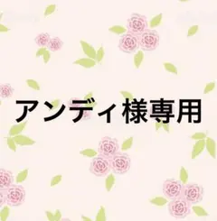 アンディ様専用品