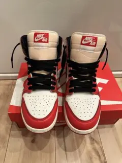Nike Air Jordan 1 スパイダーマン　25cm