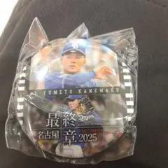 中日ドラゴンズ ガチャ 金丸夢斗 最終章 缶バッチ バンテリンドーム