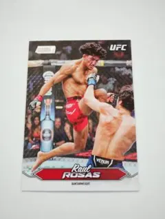 Item thumbnail for item 9b1c6fa9-46a1-40da-ace6-b40bd4b61e4c