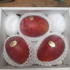 【農家直送】宮崎完熟マンゴー 9玉(約3.5kg) 農家直送】宮崎完熟マンゴー 9玉(約3.5kg) - メルカリ