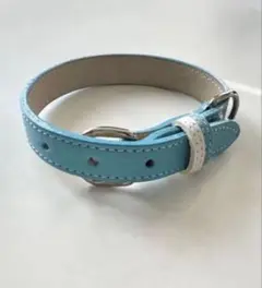 Item thumbnail for item 07547551-4be8-4825-8fe3-db8c39621da1