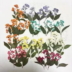 ばにぺこ様 リクエスト 2点 まとめ商品