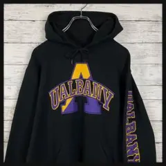 【E-76】チャンピオン　ヴィンテージ　パーカー　人気　入手困難　希少　一点物