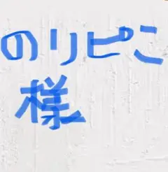 のりぴこ様専用　ループタイ