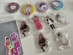 あいりデラックス　アクキー　缶バッジ　ステッカー