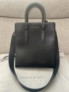 CHARLES & KEITH イロンゲイト2wayバッグのサムネイル
