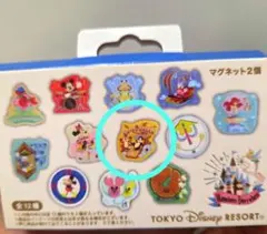 東京ディズニーリゾート マグネット